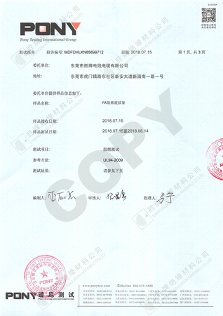 胜牌PA 阻燃测试报告
