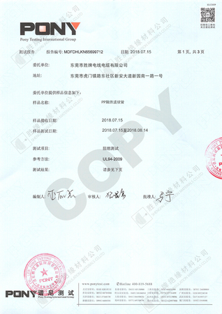 胜牌PP 阻燃测试报告